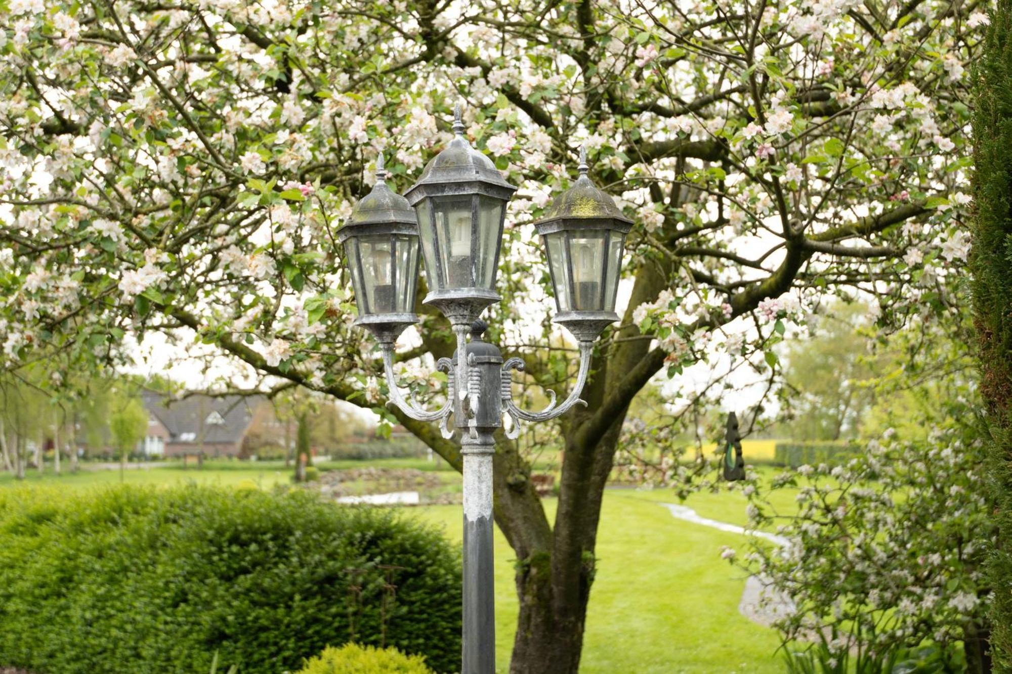 Ferienwohnung Birken Allee, 35181 Schwerinsdorf Zewnętrze zdjęcie